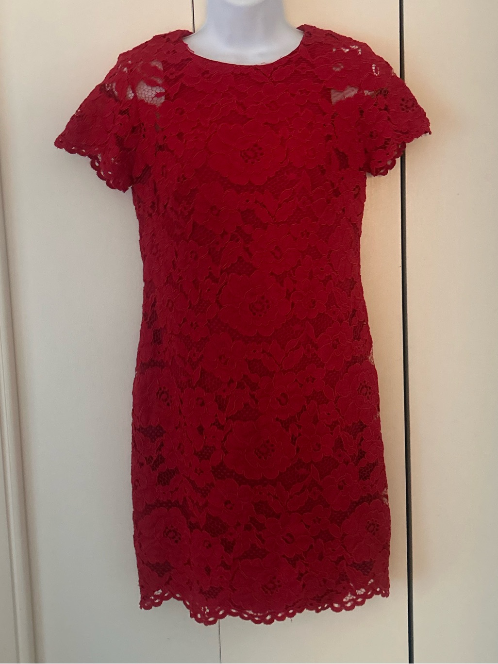 Lauren Ralph Lauren Short Sleeve Lace Dress 8p
